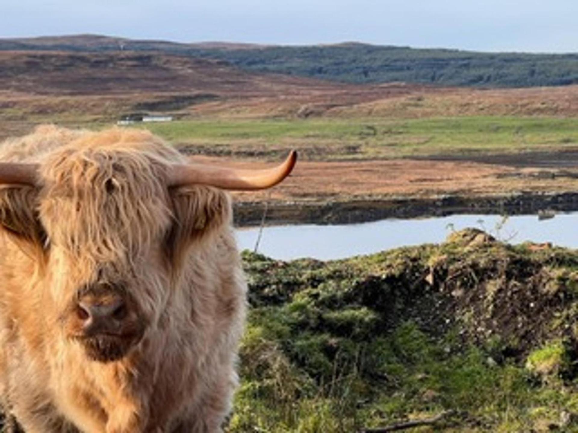 הוילה Eyre No 4 Old Post Office Row Isle Of Skye - Book Now! מראה חיצוני תמונה